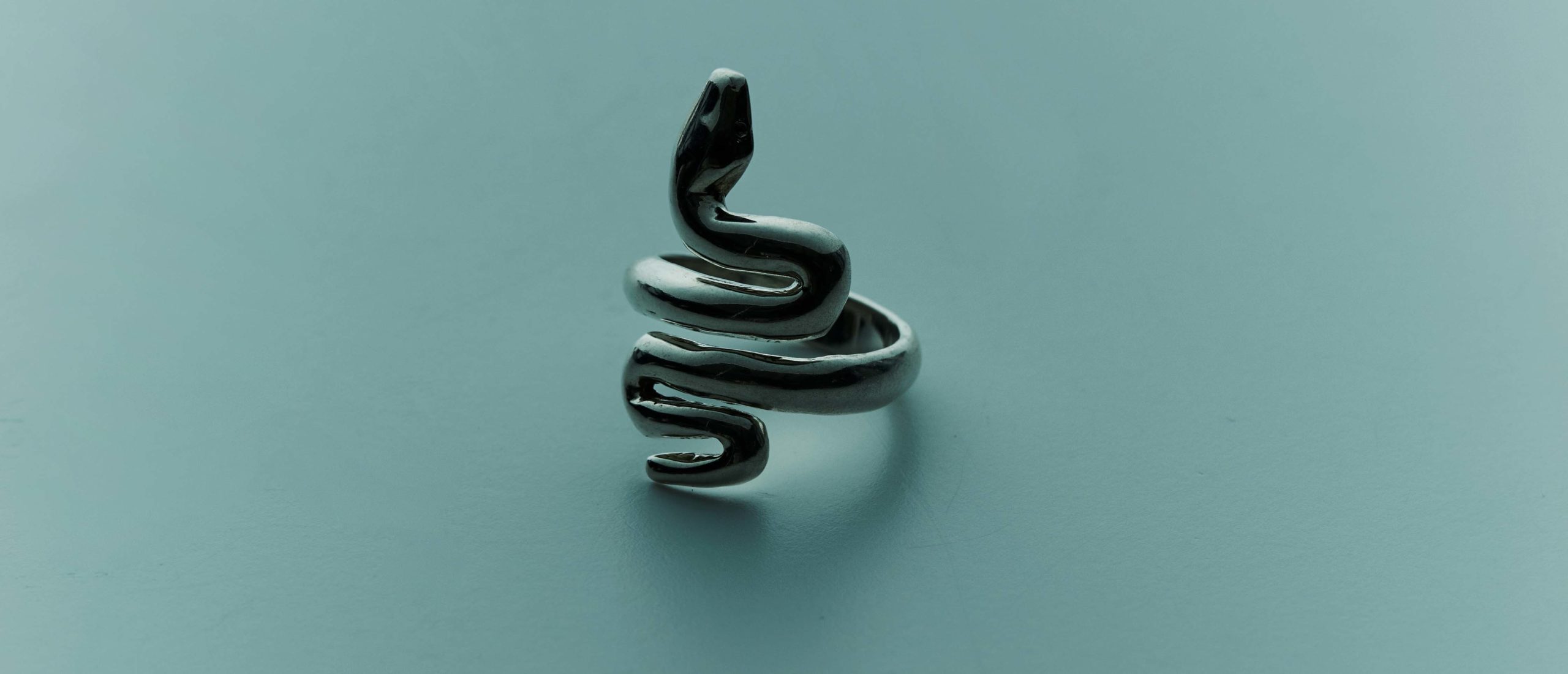 snake ring 101