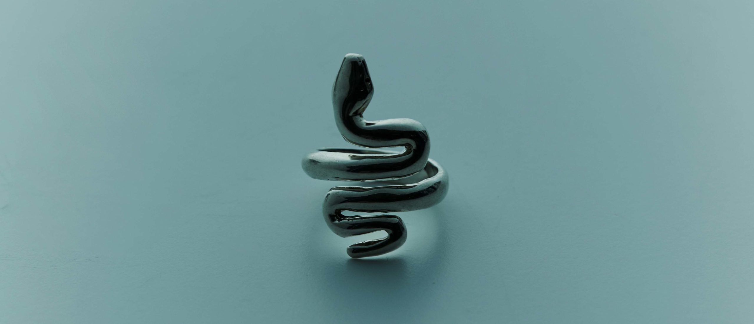 snake ring 101