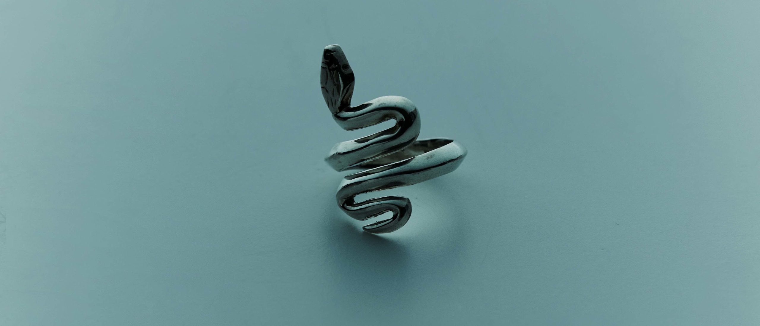 snake ring 111